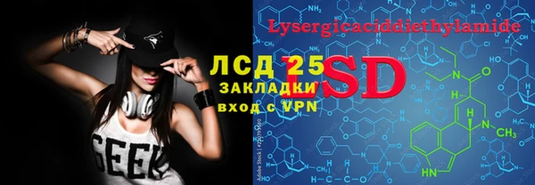 гашик Алексеевка