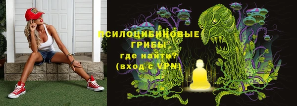 дурь Алзамай