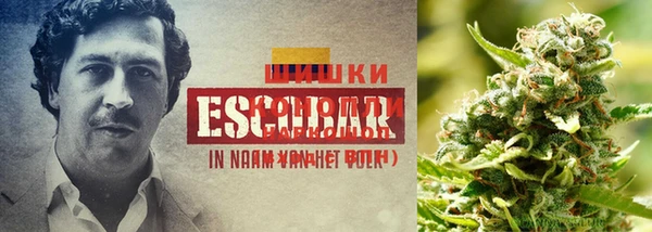 винт Алексин