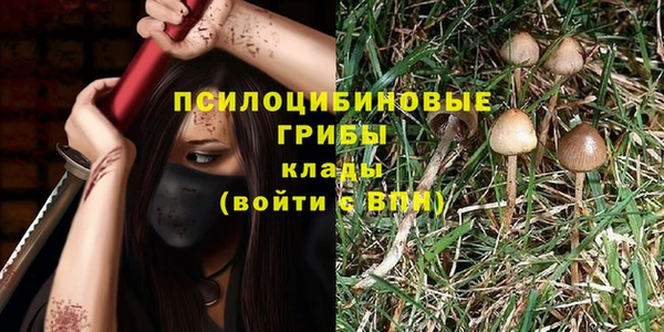 гашик Алексеевка