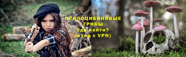 гашик Алексеевка