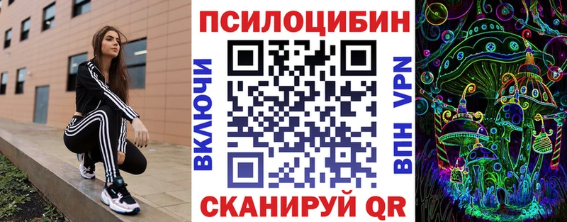 магазин продажи наркотиков  Зеленоградск  Псилоцибиновые грибы GOLDEN TEACHER 